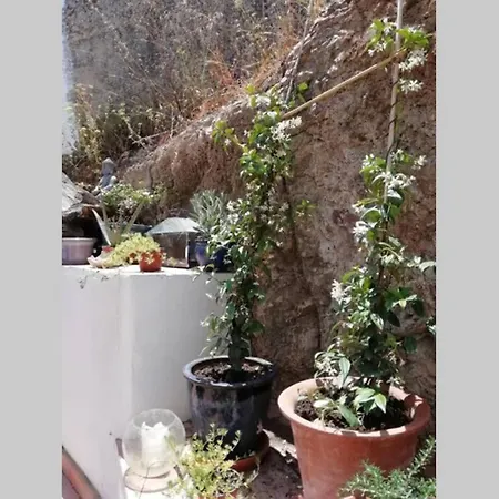 Casa Das Flores Holiday home *