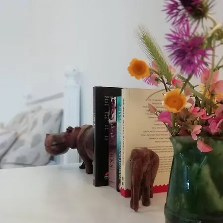 Casa Das Flores Holiday home