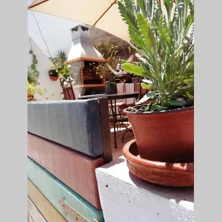 Casa Das Flores Ferienhaus *